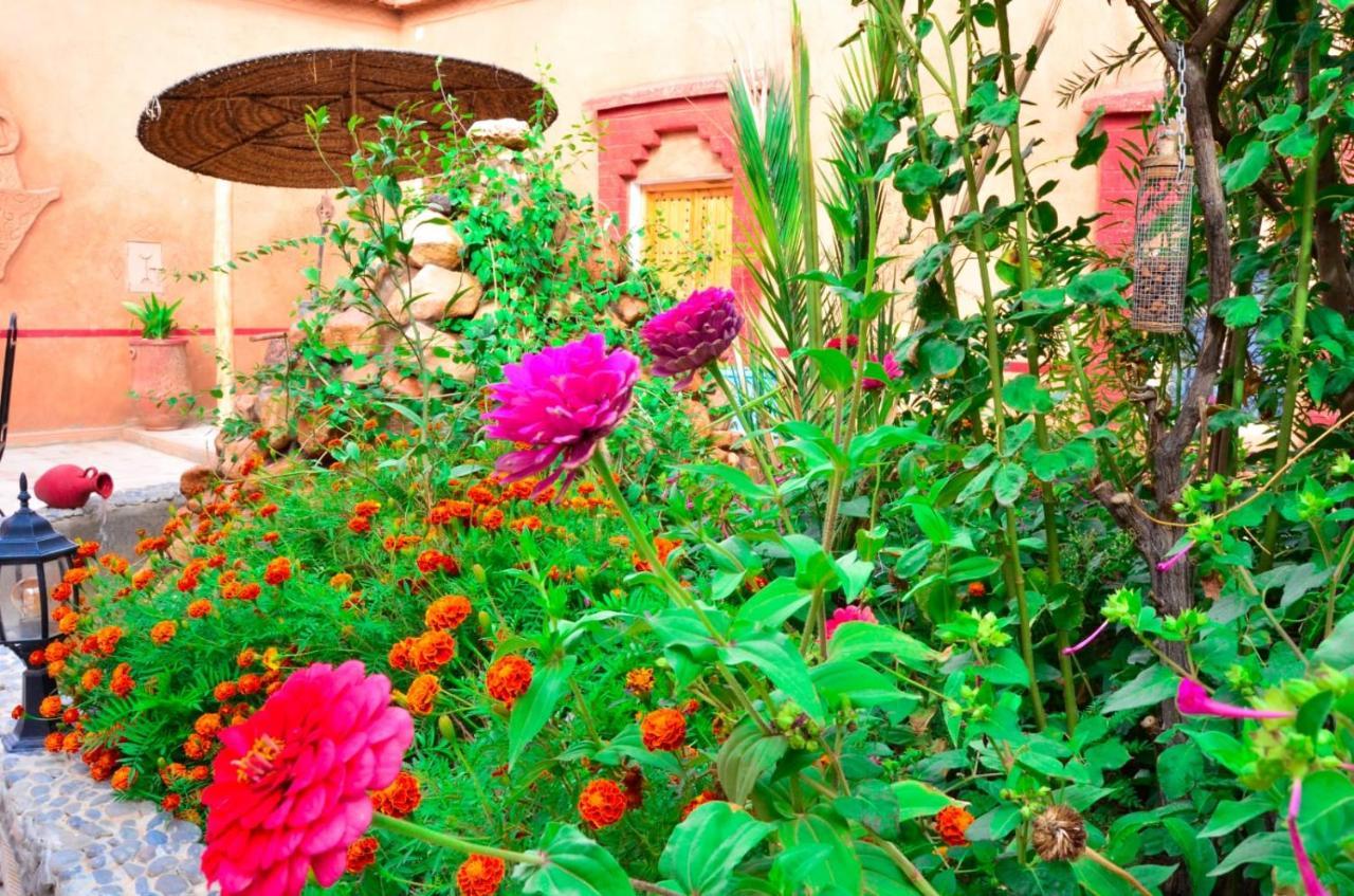 Kasbah Tussna Hotel Boumalne Dades ภายนอก รูปภาพ